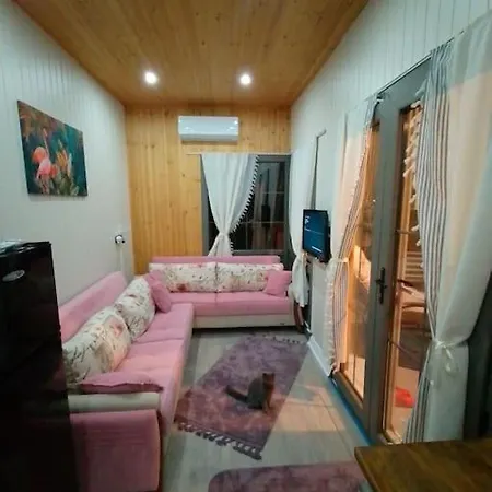 Moonlight Tiny House بيت للعطل