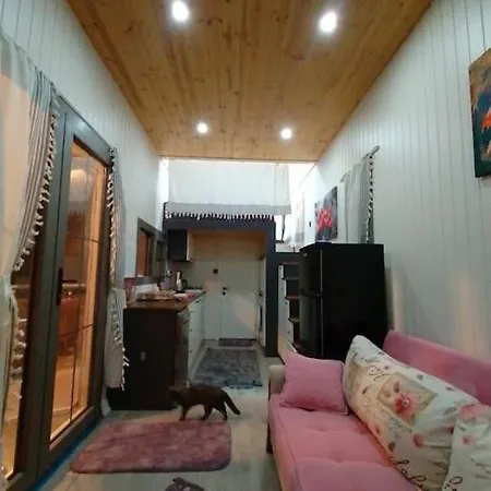 Moonlight Tiny House